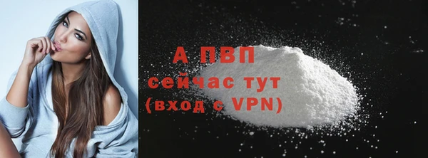 индика Вязьма