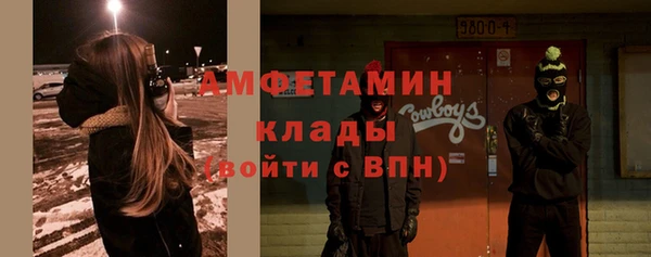 индика Вязьма