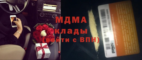 индика Вязьма