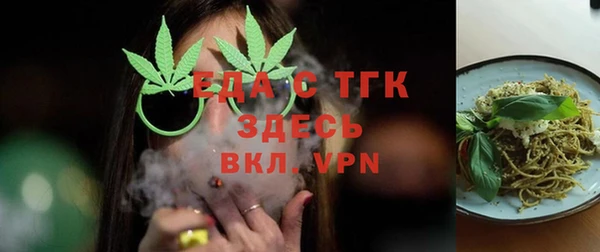 индика Вязьма