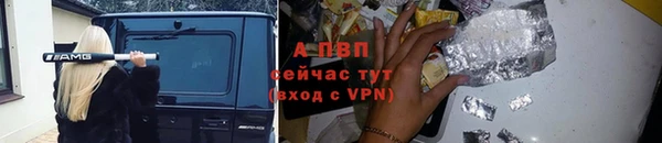 эйфоретик Вяземский