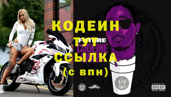 индика Вязьма