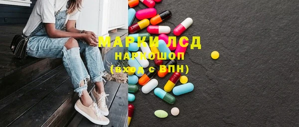 индика Вязьма