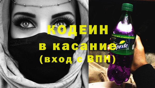 индика Вязьма