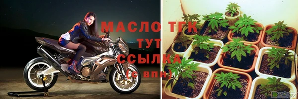 эйфоретик Вяземский