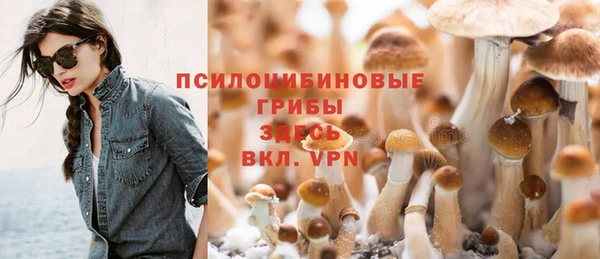 эйфоретик Вяземский