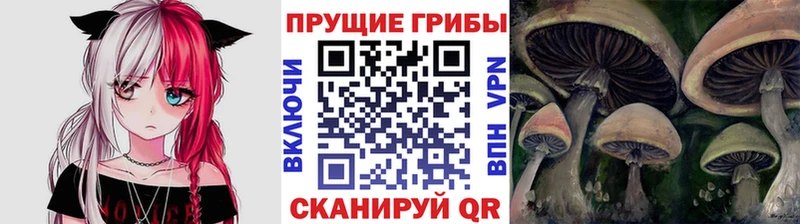 гидра сайт  Берёзовский  Псилоцибиновые грибы Magic Shrooms 