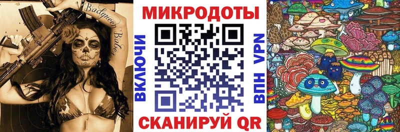 Галлюциногенные грибы Psilocybine cubensis Берёзовский